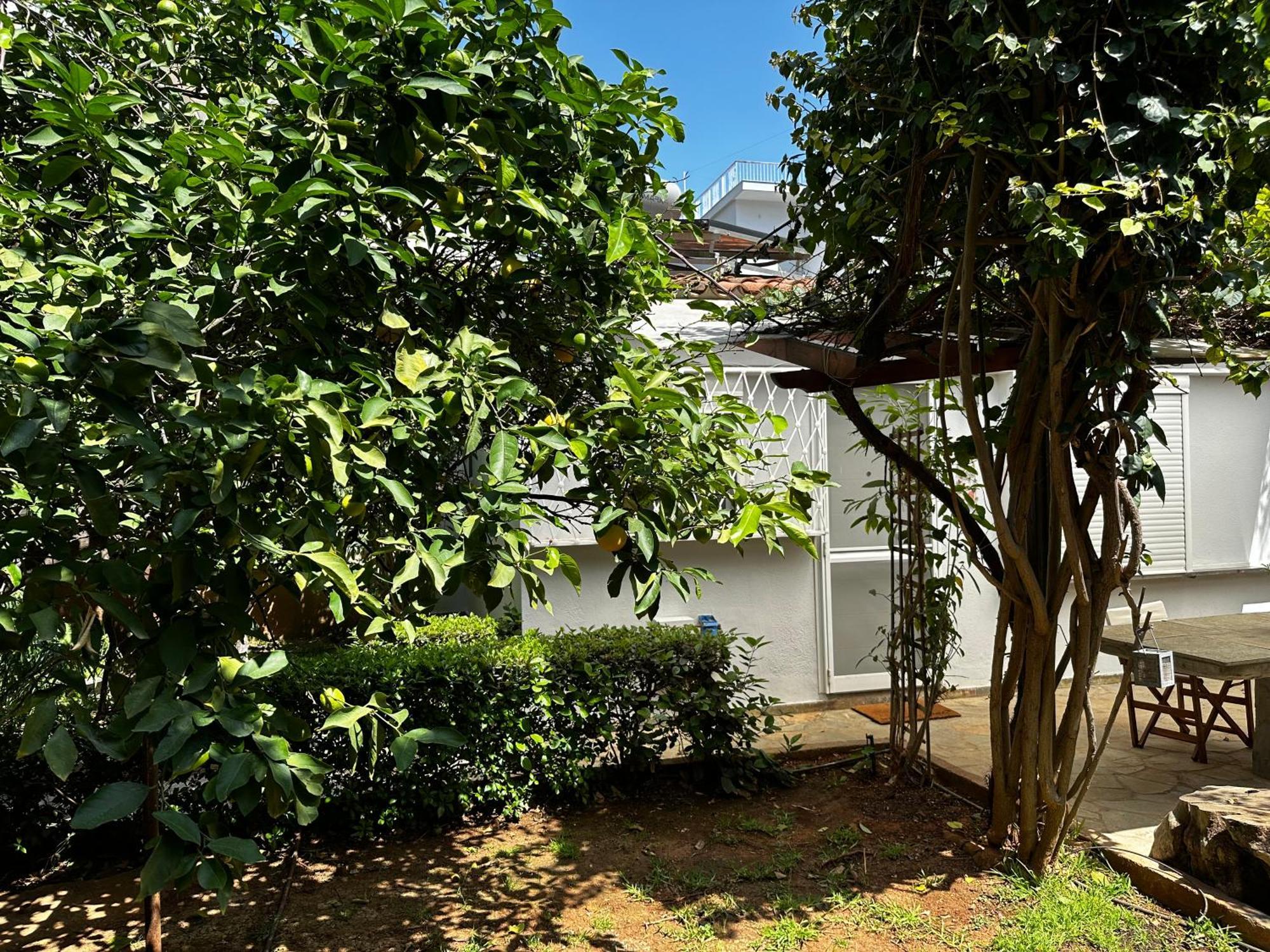 Antonis'S Garden House Apartment Athena Bagian luar foto